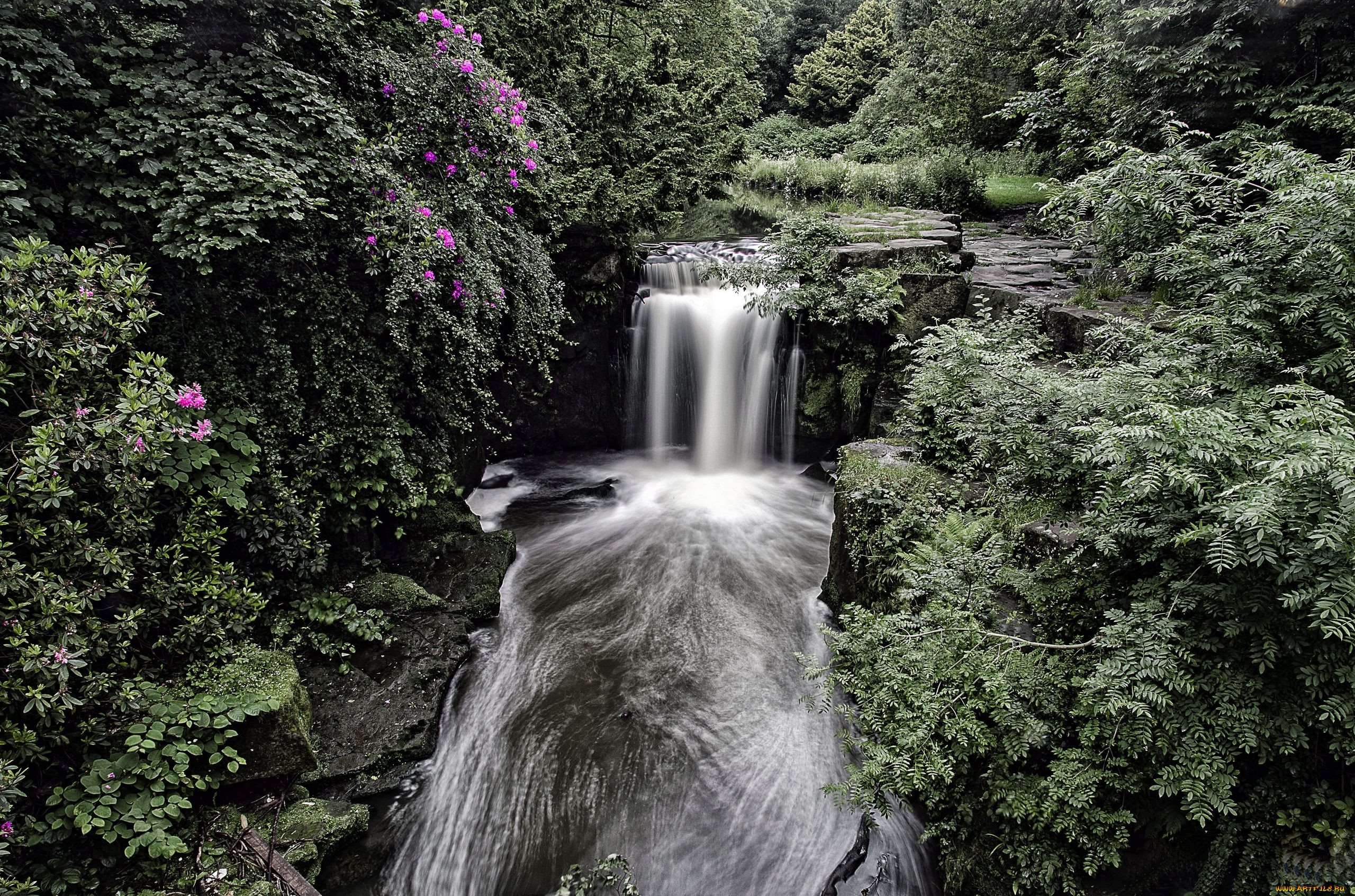 jesmond, dene, waterfall, newcastle, england, , , , , , 